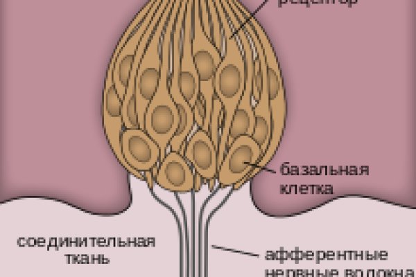 Кракен маркет плей