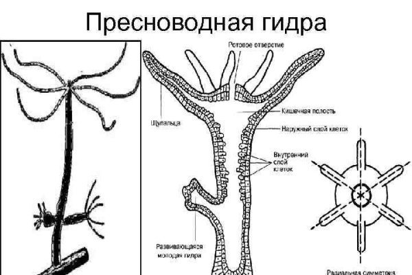 Как зайти на кракен kraken014 com